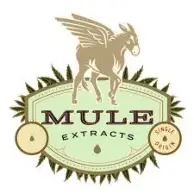 Mule Extracts: Fxt: Dragonfruit Chill Flavored