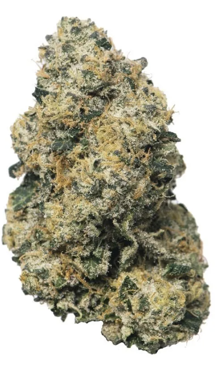 Sherbanger #22 | Mixed Buds |