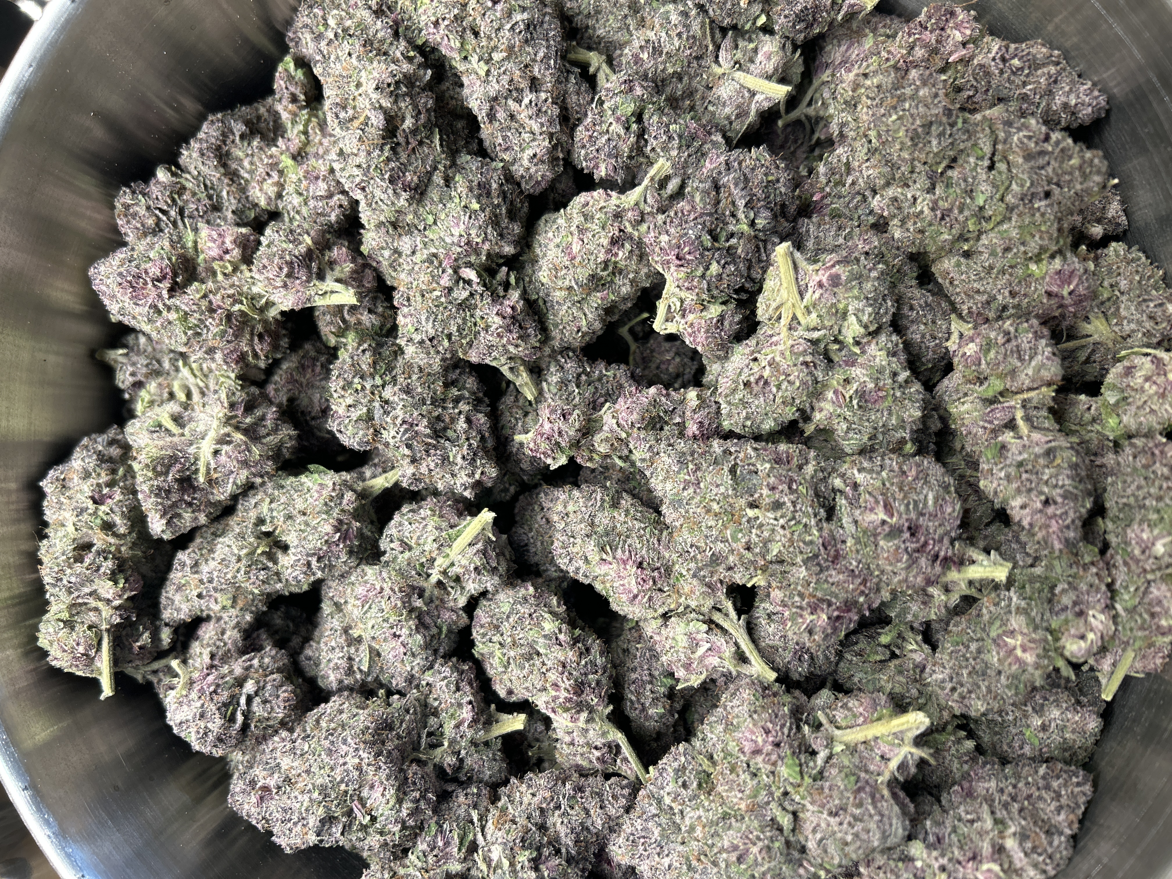 Aura | Vs1 | Buds | 3.6% Terps (1g) product photo