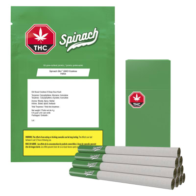 Spinach | GMO Cookies Stix Pre-Roll 10-pack | 4g