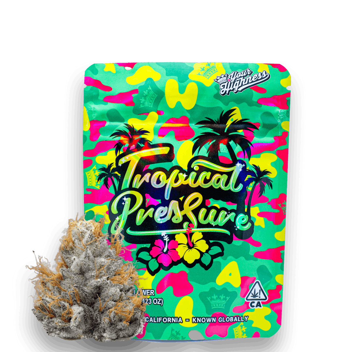 Tropical Pressure (OSO) | Flower