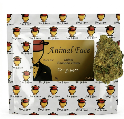 Pot & Head - Flower - Animal Face - 28g - 28g in Olean