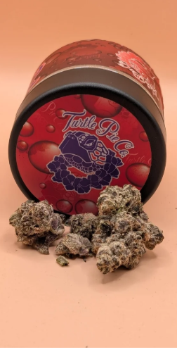 Turtle Pie x Rose