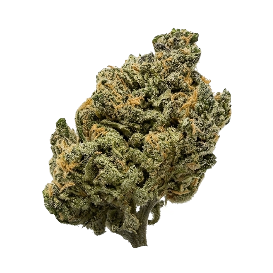 Great Smoky | Blue Dream Flower [F-39-40]