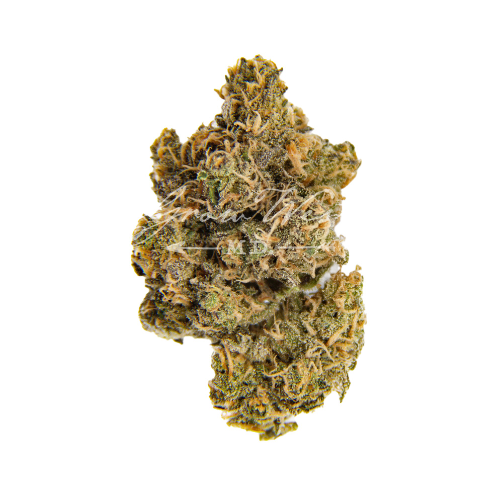 Blue Magoo | Gold | Trimmed Flower