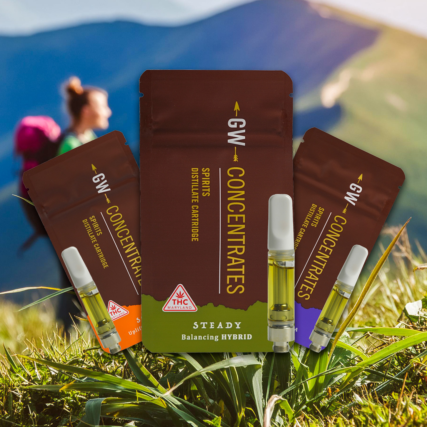 Berry Gelato | Spirits | Distillate Cartridge | 1g