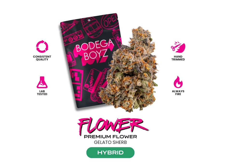 Gelato Sherb - Premium Flower