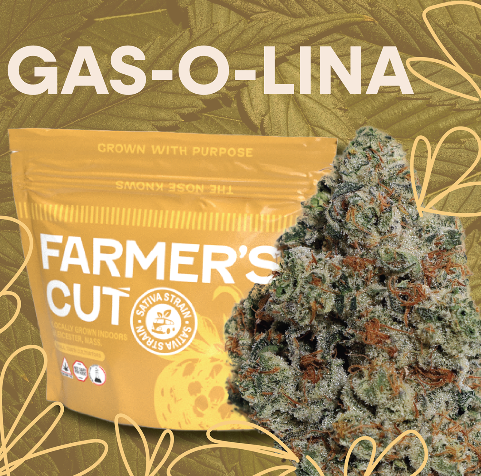 Gas-O-Lina | 28g