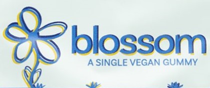 Blossom: Chili Lime Pineapple