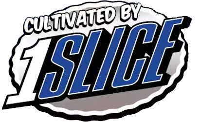 #1 Slice