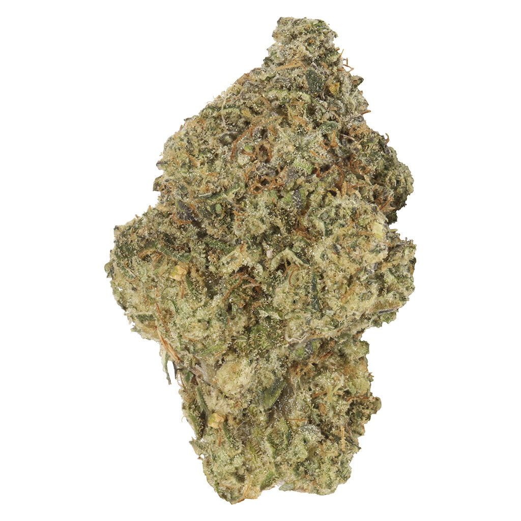 Carmel - Bubble Pop Cake | Bubble Gum Sherb x Cap Junky - Indica - 3.05 Terps!!