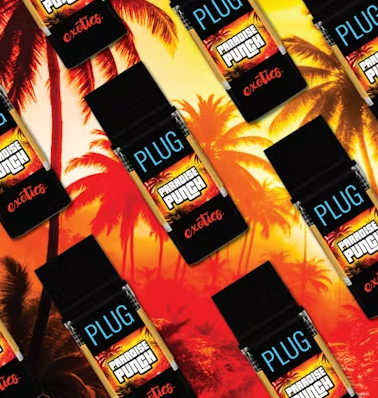 Plug and Play Paradise Punch Hybrid