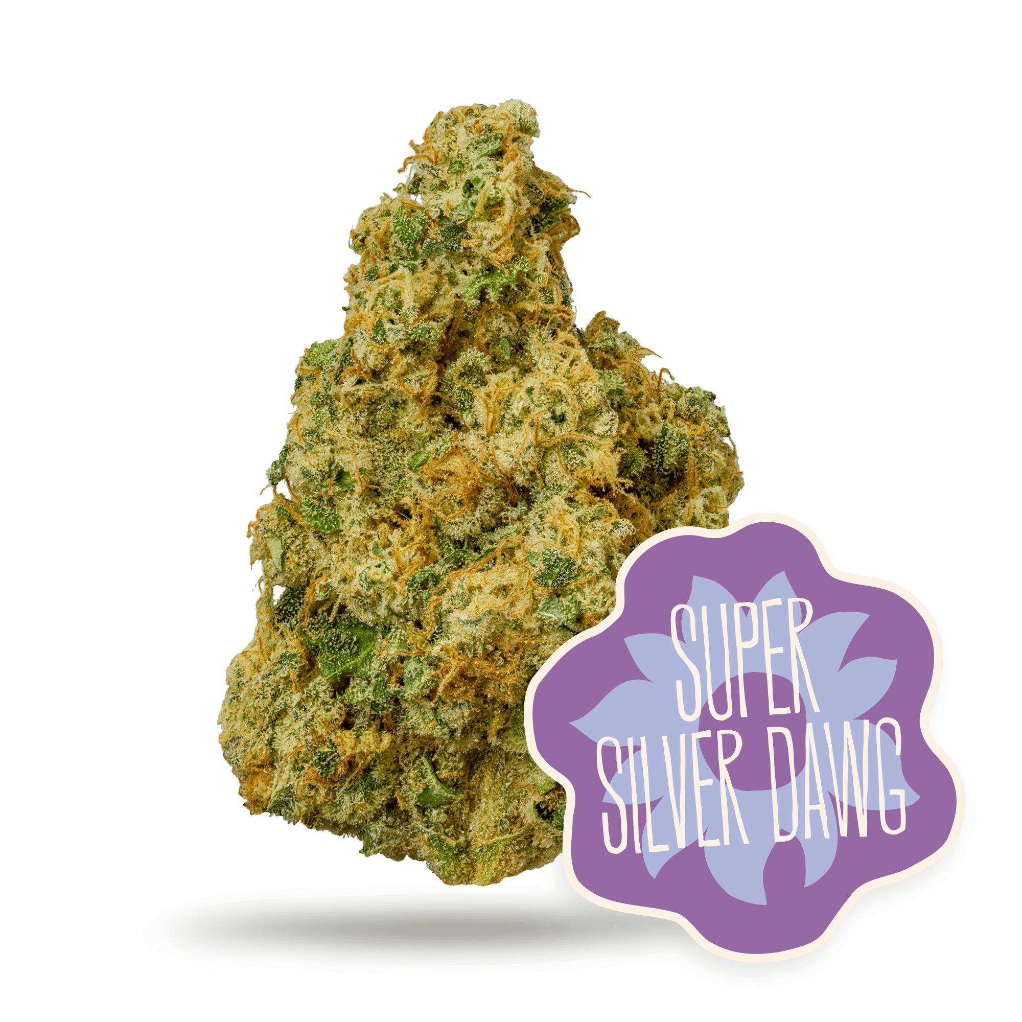 Super Silver Dawg [.]