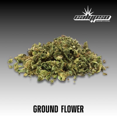 Wiggly Wookie Pre Ground