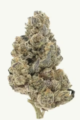 Zips | Crooked Kush | 1oz (28g)