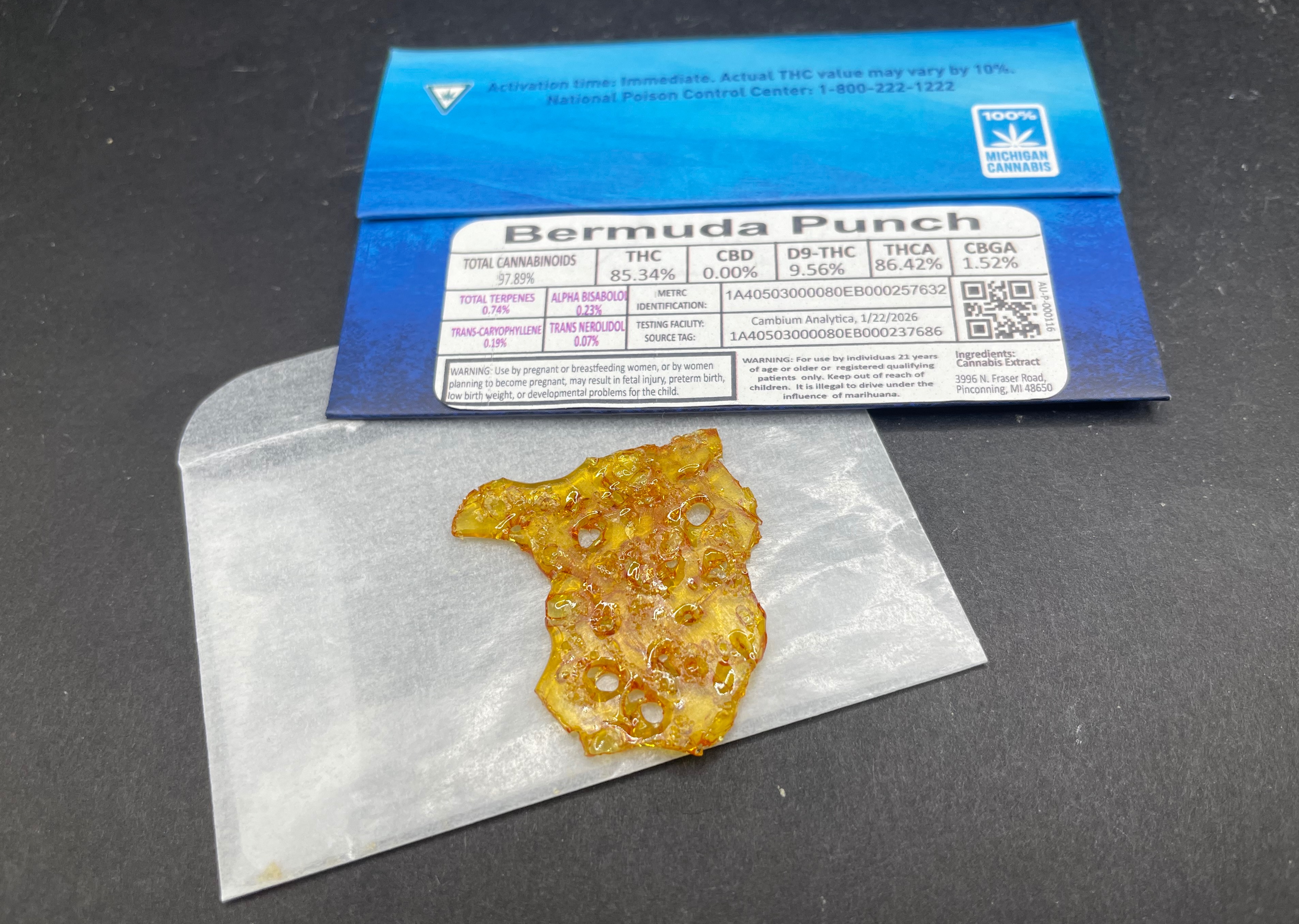 Bermuda Punch Shatter