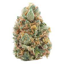 Spinach | GMO Cookies Indica | 3.5g