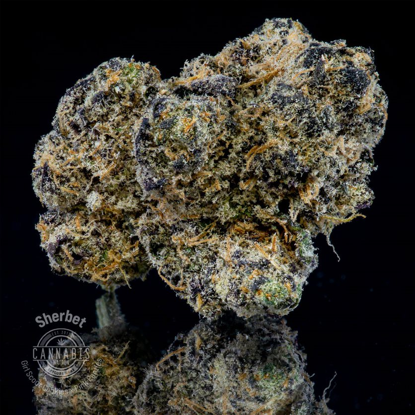 Sherbet