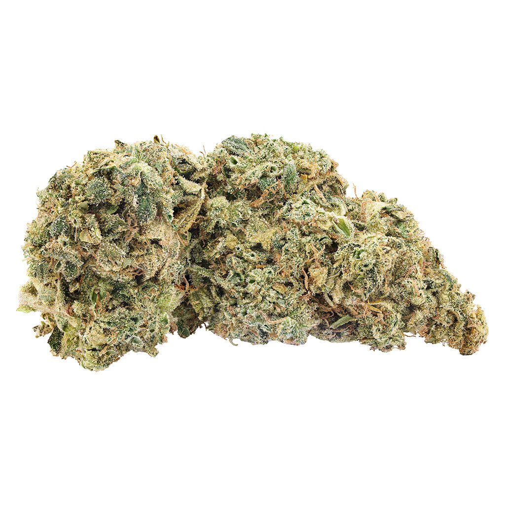 Big Bag O' Buds - Northern Nights - Indica
