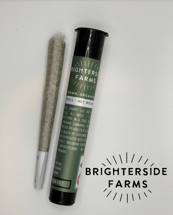 Forbidden Zkittles  | 1-Pack