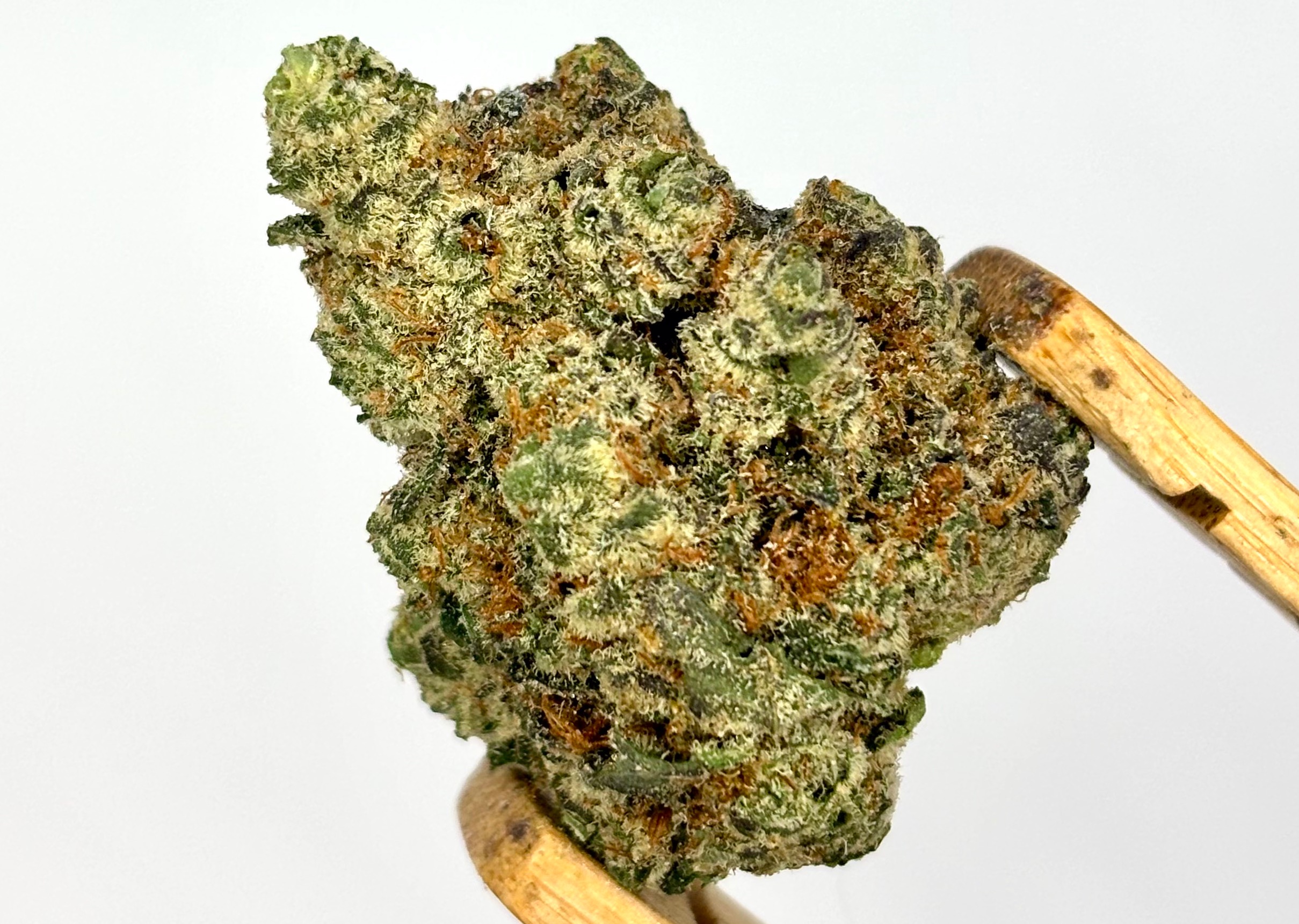 Glorious Cannabis | Glitter Bomb x Sweet Tea | Bulk Flower | Yellow Tier