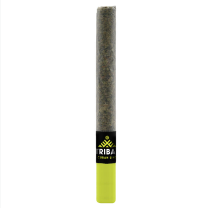 Cuban Linx Ceramic Tip - 1 x1g