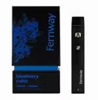 Blueberry Cake |  Disposable