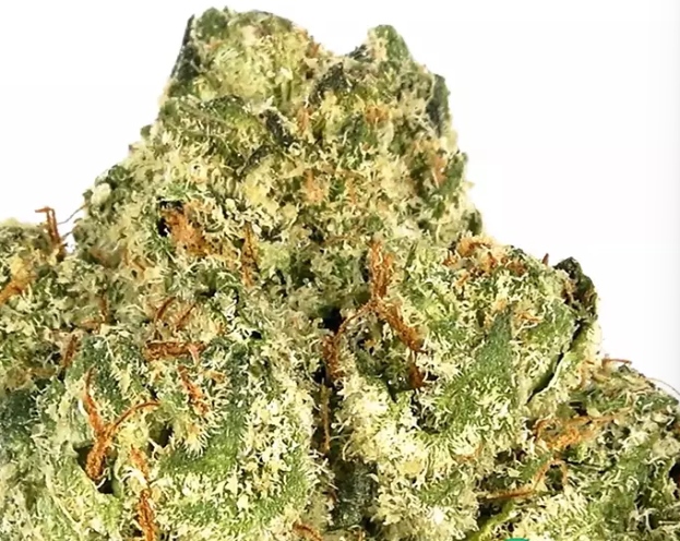 Do Si Dos Buds