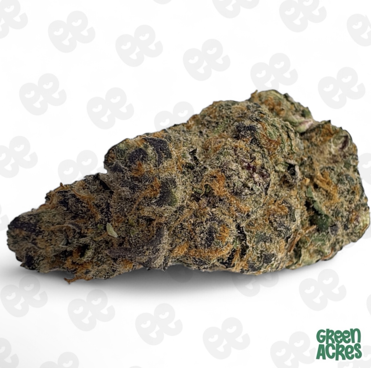 (H) Local Grove: First Class Funk (H)