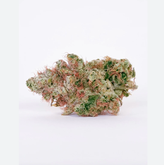 Cherry Crescendo Bulk Flower