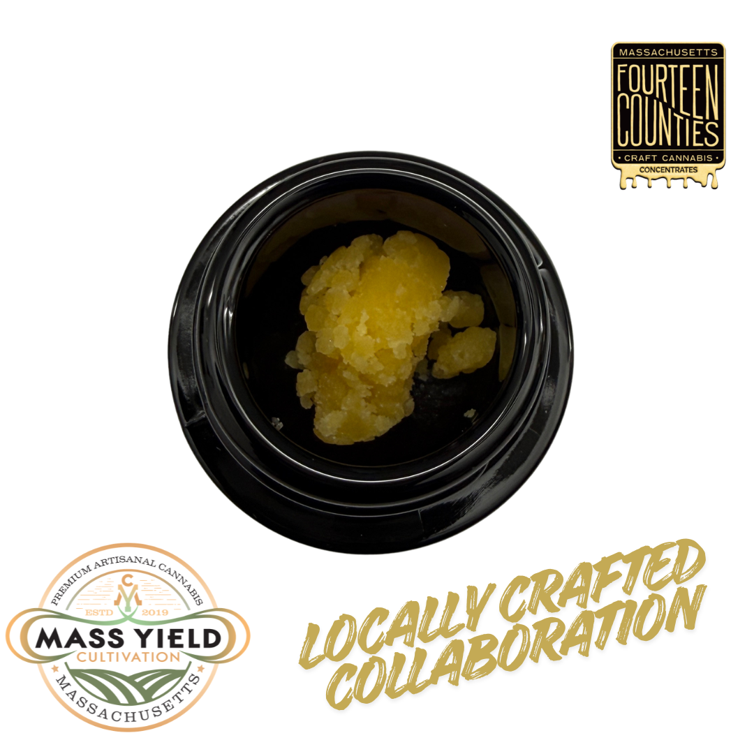 CSK x Inzane Kush Budder | Concentrates | 1g