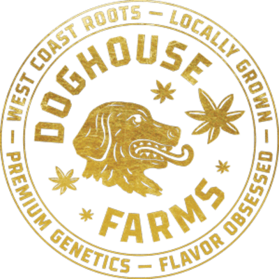 Doghouse | SCOOBY SNACKS X SOUR DIESEL #2