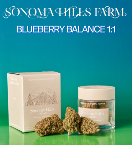 Blueberry Balance 1:1