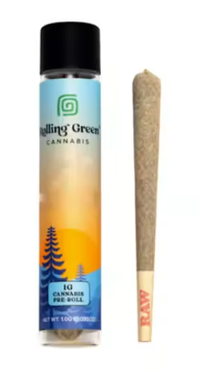 Tangerine Dream | Pre-Roll | 1g