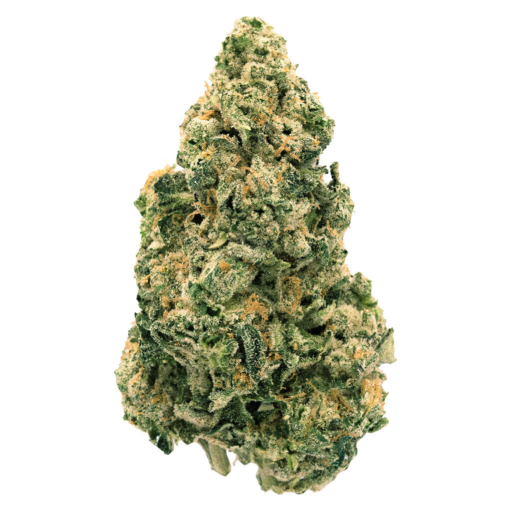 Back Forty - Galactic Jack - Sativa