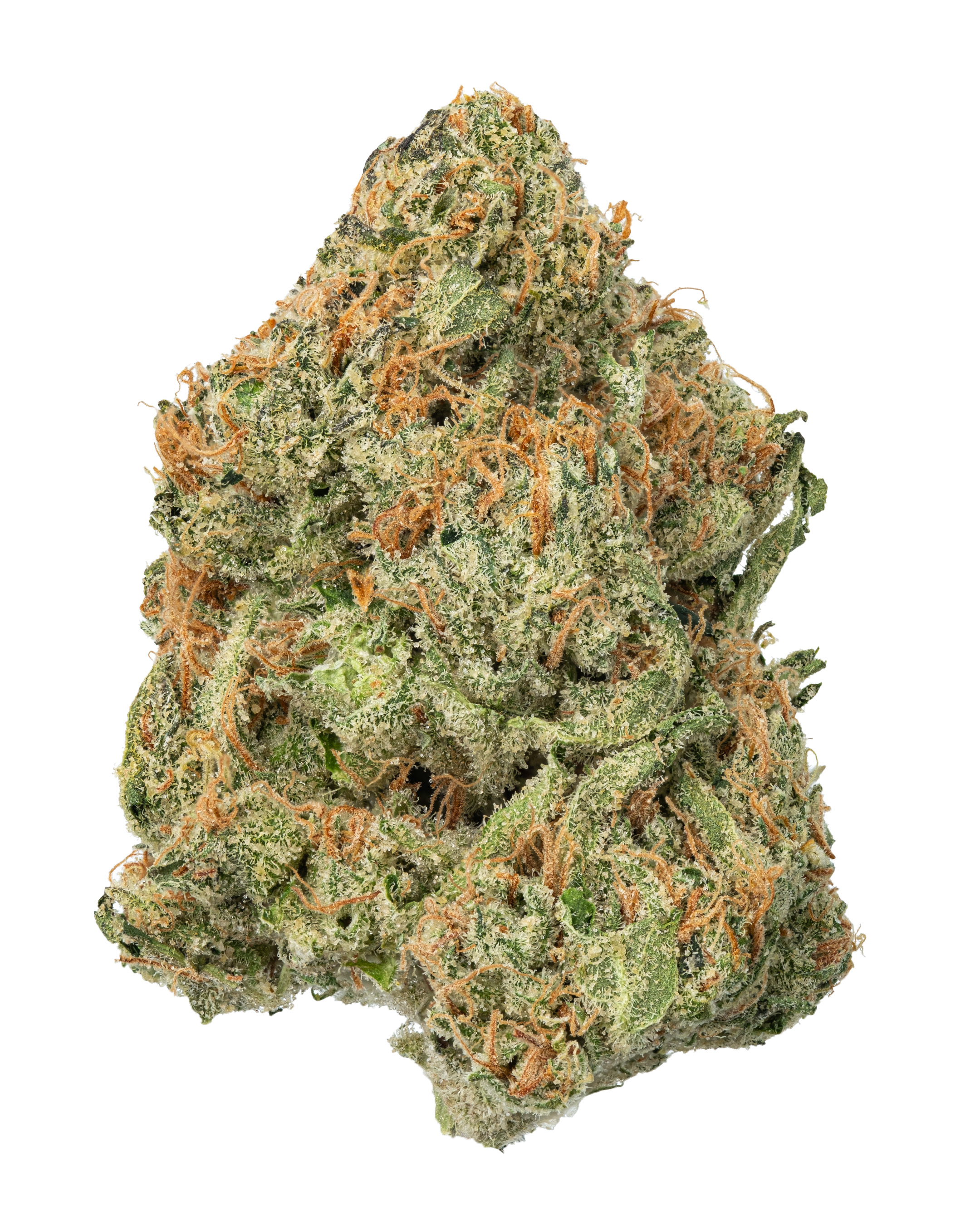 Durban Poison - Popcorn - S