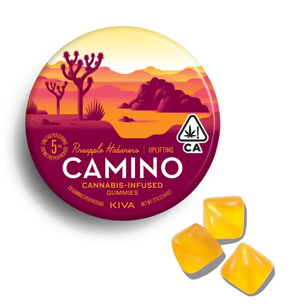 CAMINO - PINEAPPLE HABANERO "UPLIFTING" - 5MG - 100MG