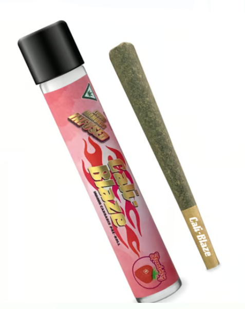 Fruit Punch 1.2g Infused Preroll