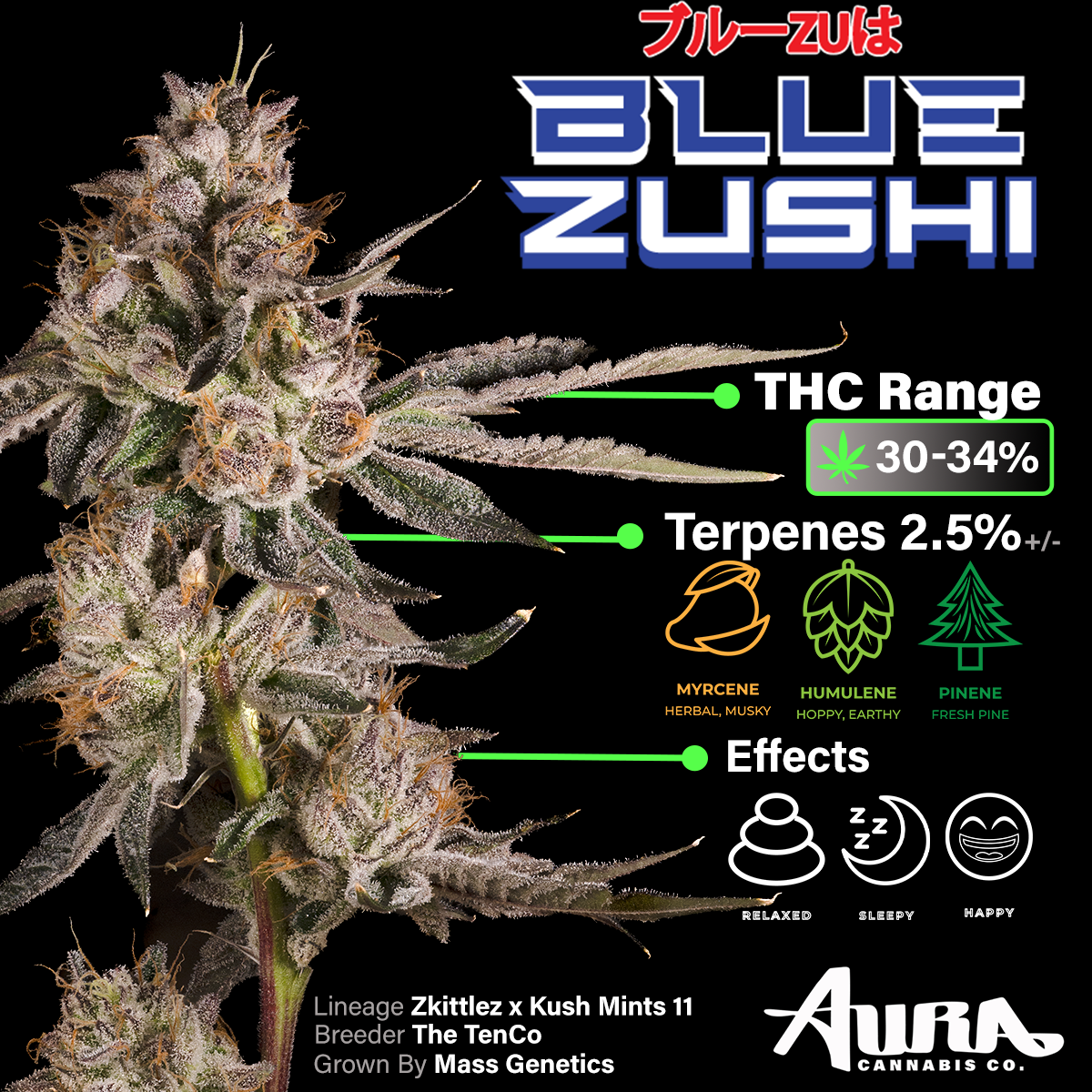 Aura | Blue Zushi 3.5g