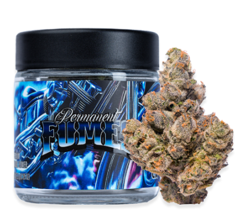 PERMANENT FUMES FLOWER [H]