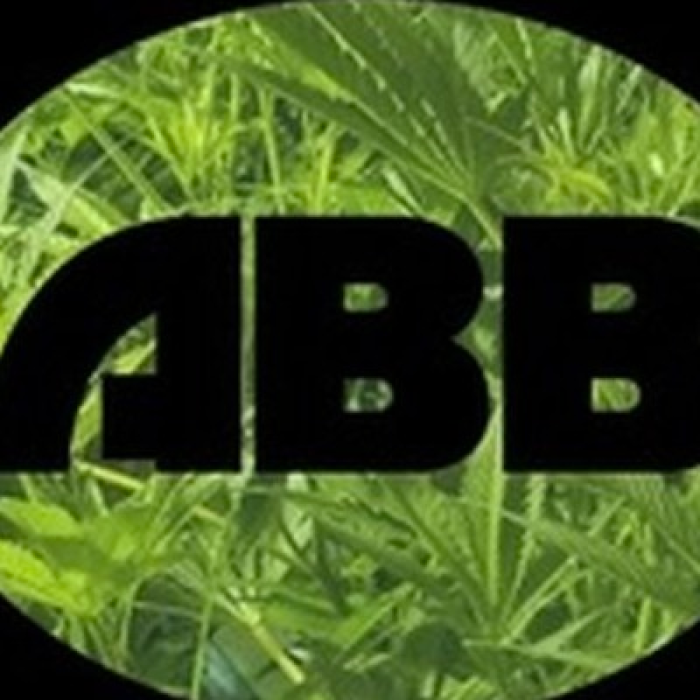 Alien Haze - 14g Loose Trim