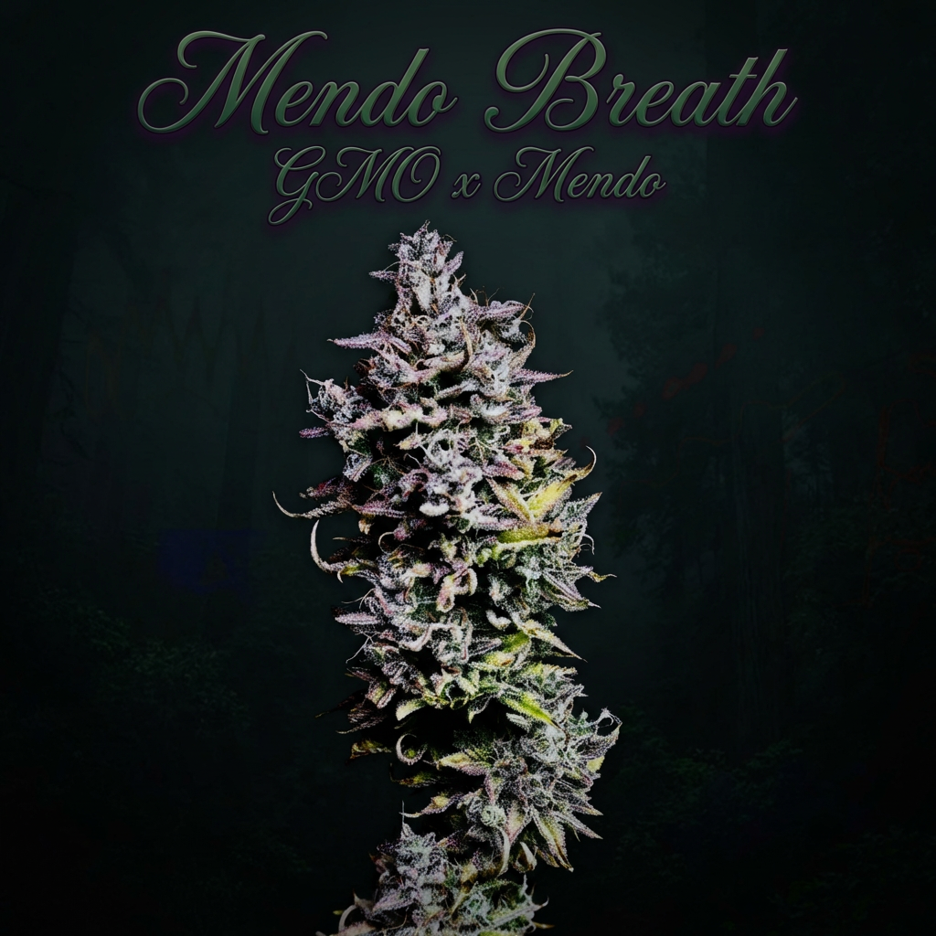 Mendo Breath