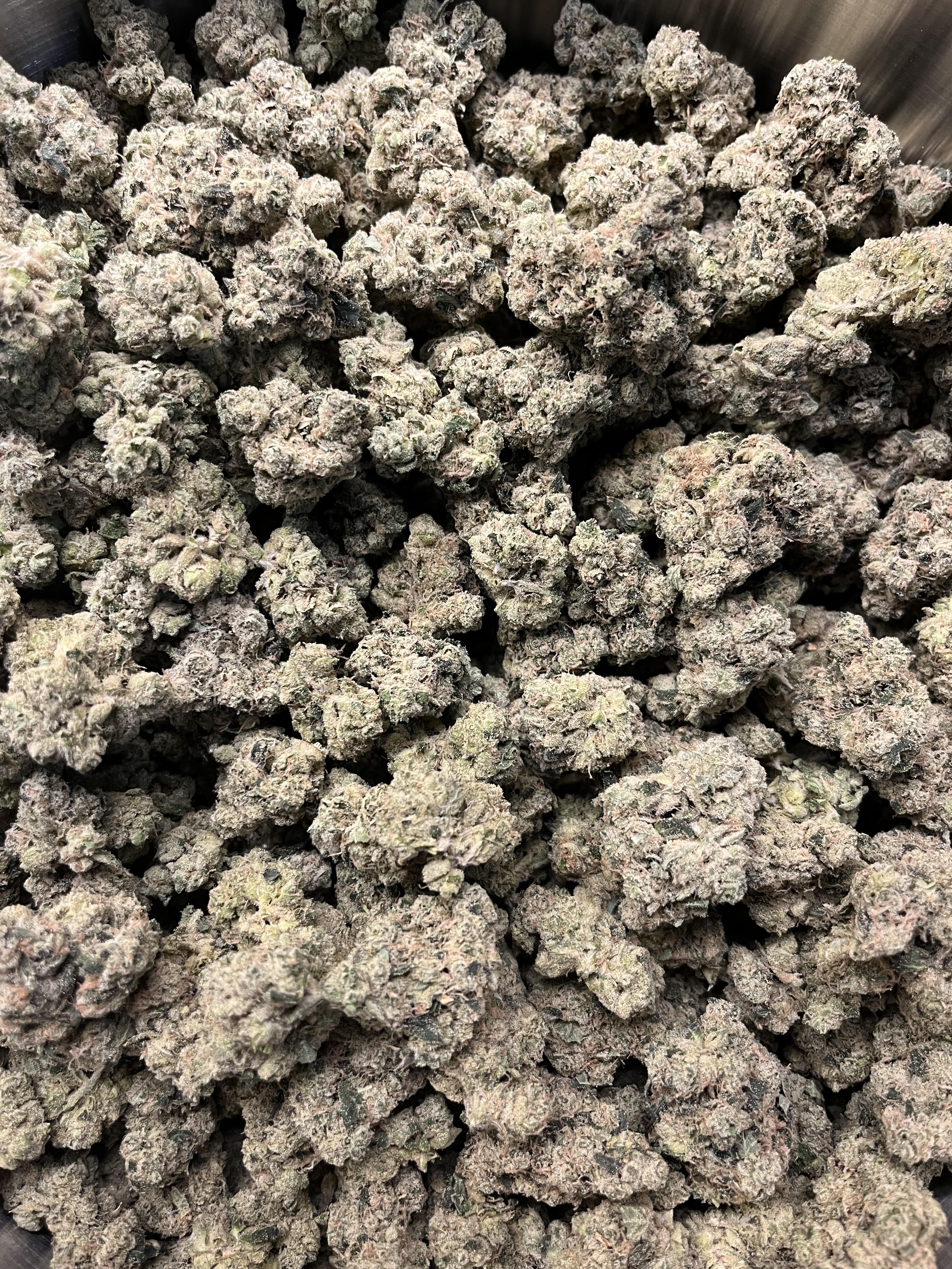 Harbor House | TKO | Buds | 3.2% Terps (1g) product photo