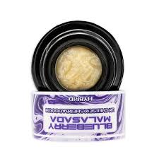 Umamii | Blueberry Malasada | Private Reserve Single Source Live Rosin | 1g by Umamii - concentrates cannabis product