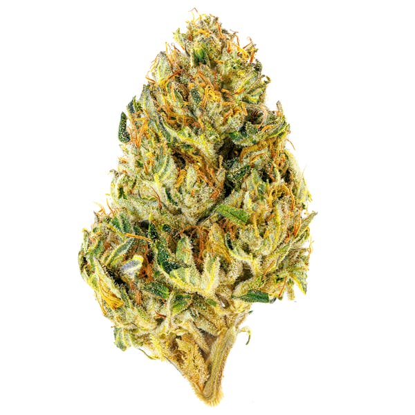 REDBULLZ | 3.5g | HYBRID | 23.8%THC | JAR | FLOWER