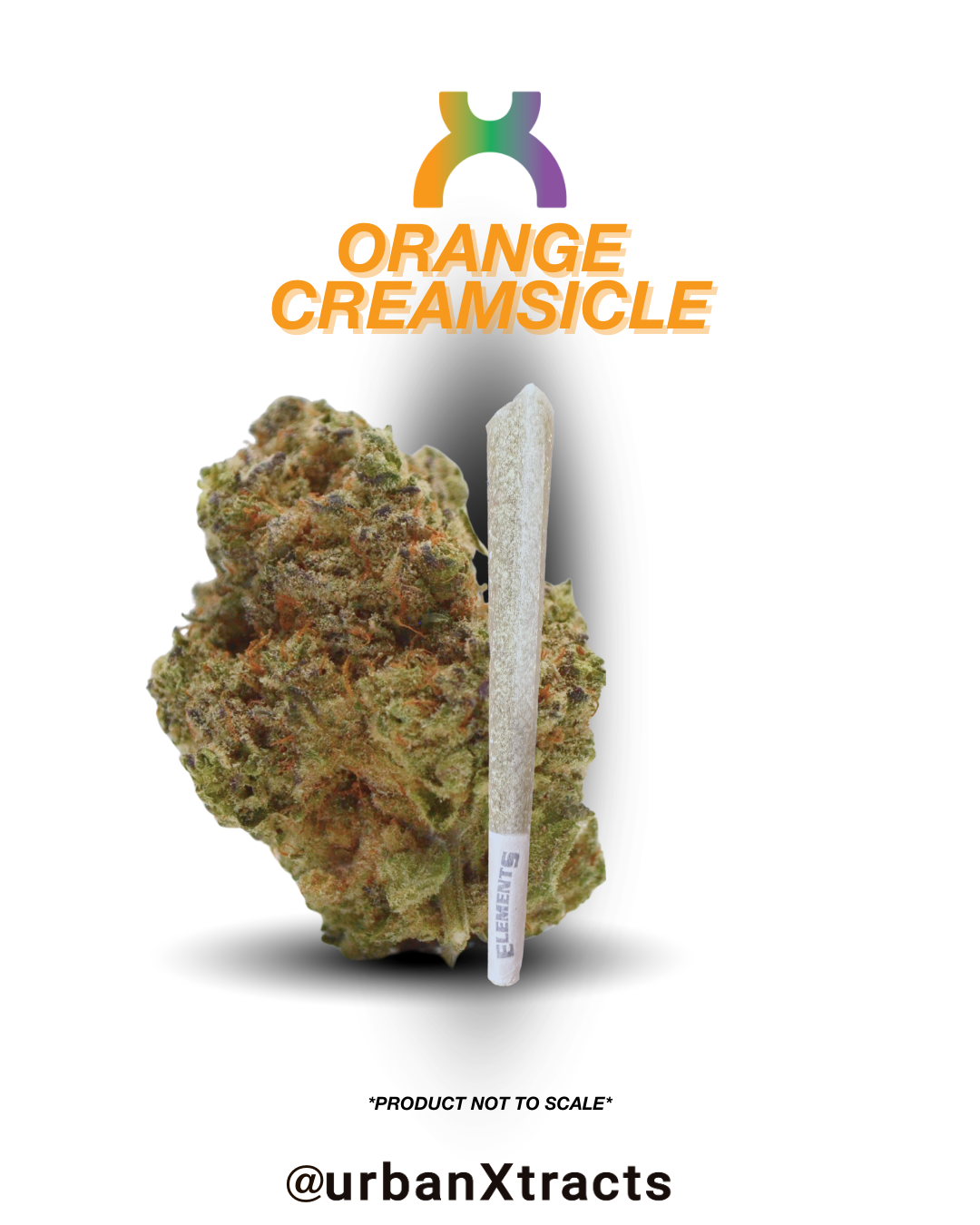 Orange Creamsicle