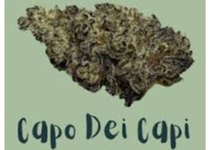 Dei Capi Indica Hybrid Flower