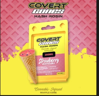 Cones Strawberry Shortcake