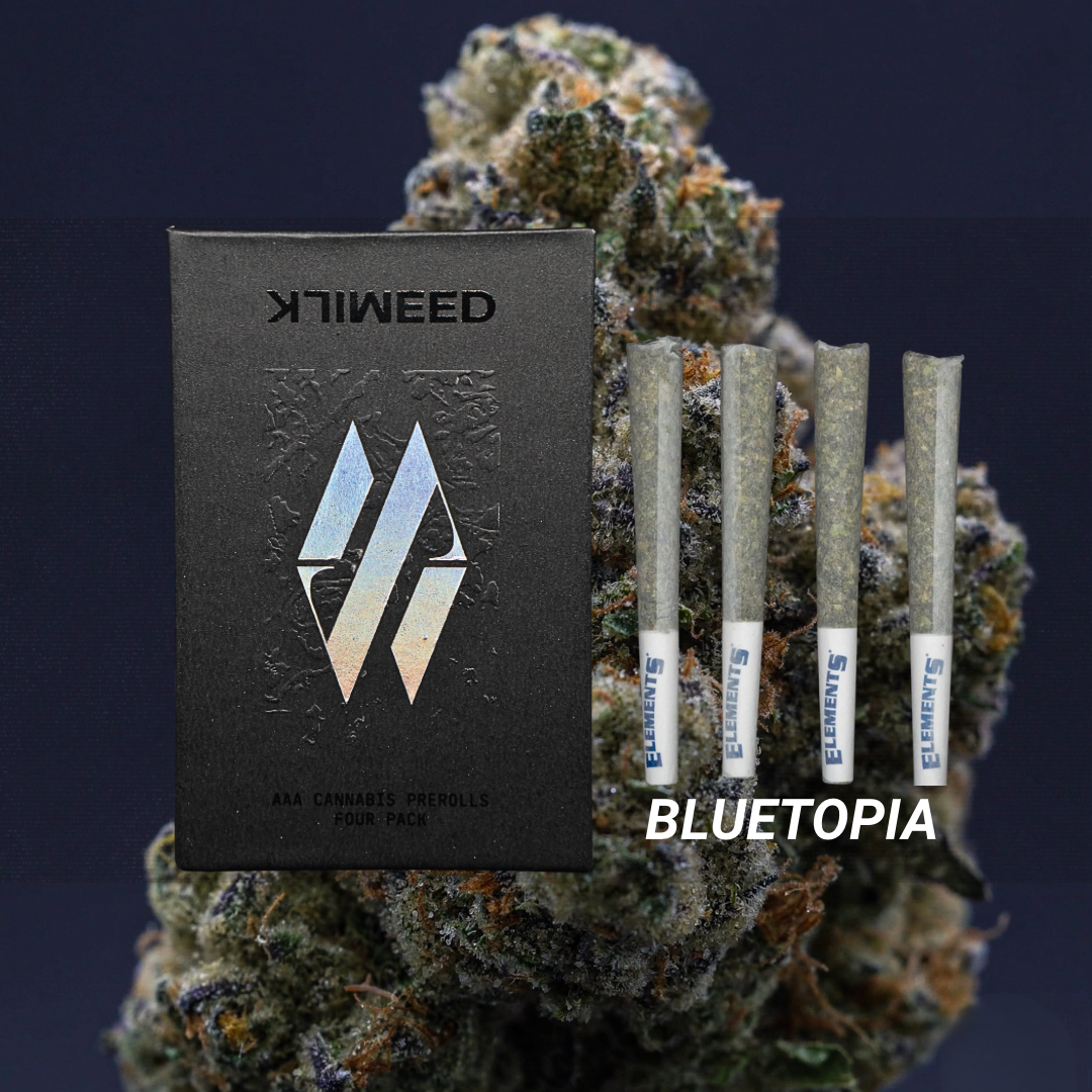 Bluetopia Pre Roll 3g