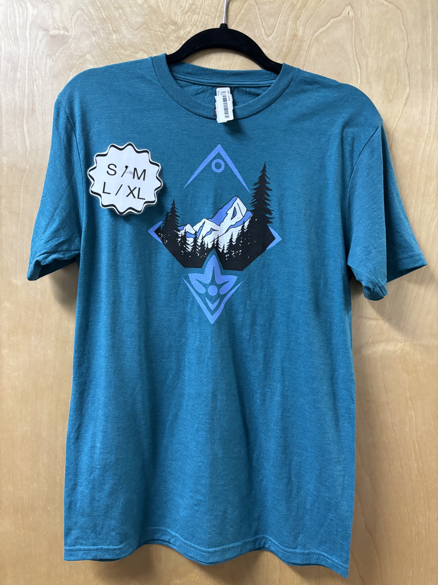 Men's Teal Shirt